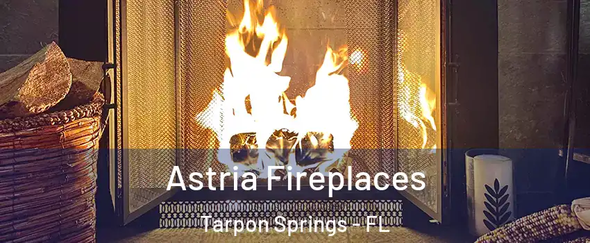  Astria Fireplaces Tarpon Springs - FL