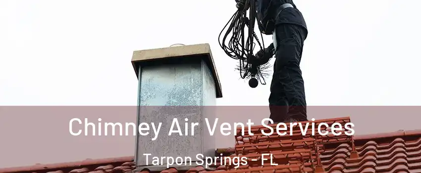  Chimney Air Vent Services Tarpon Springs - FL