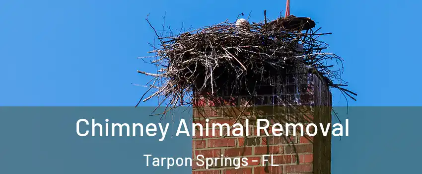  Chimney Animal Removal Tarpon Springs - FL