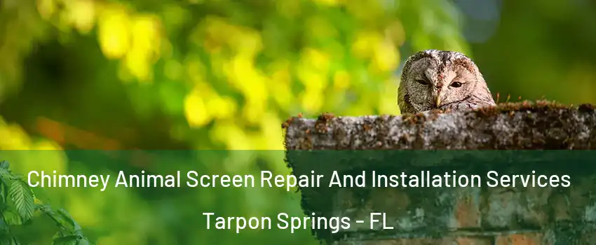  Chimney Animal Screen Repair And Installation Services Tarpon Springs - FL
