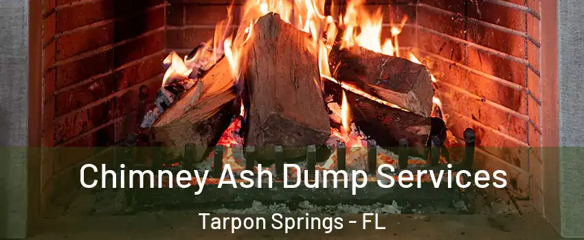  Chimney Ash Dump Services Tarpon Springs - FL