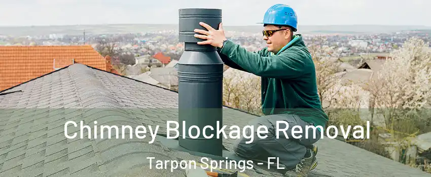  Chimney Blockage Removal Tarpon Springs - FL