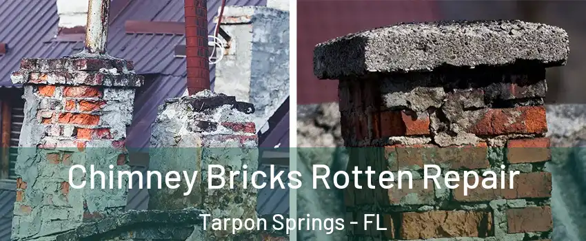  Chimney Bricks Rotten Repair Tarpon Springs - FL
