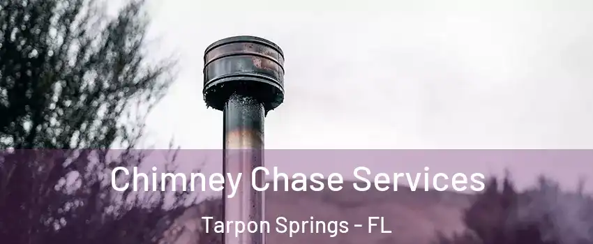  Chimney Chase Services Tarpon Springs - FL