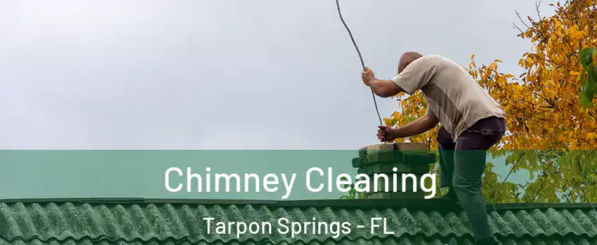  Chimney Cleaning Tarpon Springs - FL