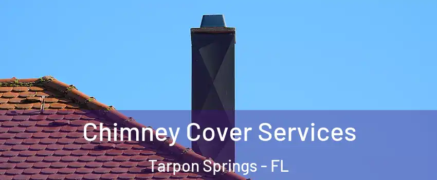  Chimney Cover Services Tarpon Springs - FL
