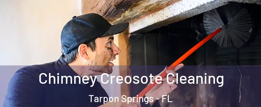  Chimney Creosote Cleaning Tarpon Springs - FL