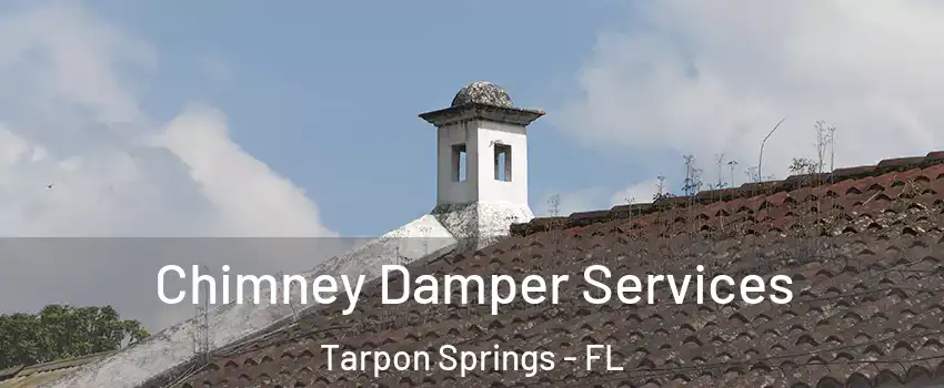  Chimney Damper Services Tarpon Springs - FL