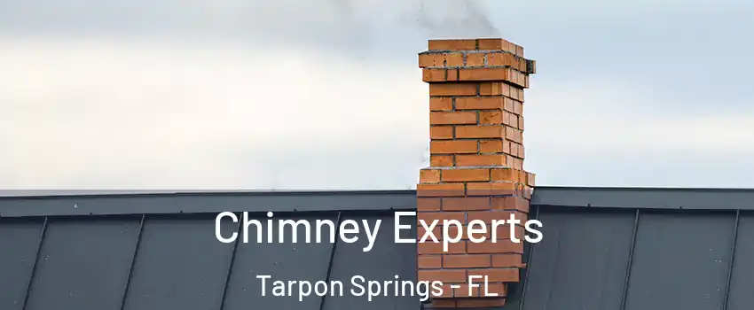  Chimney Experts Tarpon Springs - FL