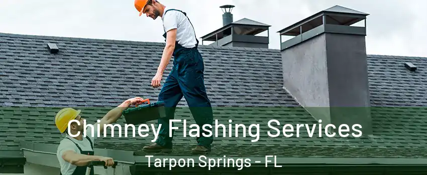  Chimney Flashing Services Tarpon Springs - FL