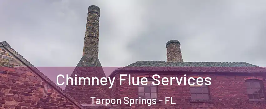 Chimney Flue Services Tarpon Springs - FL