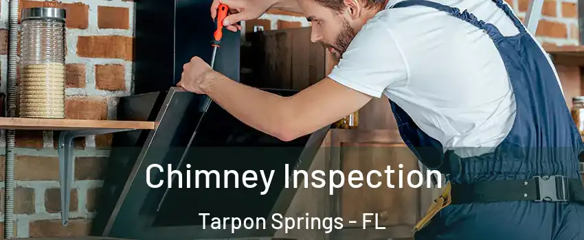  Chimney Inspection Tarpon Springs - FL
