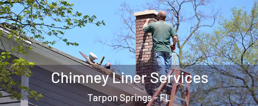  Chimney Liner Services Tarpon Springs - FL
