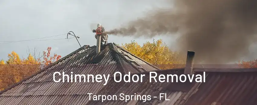  Chimney Odor Removal Tarpon Springs - FL