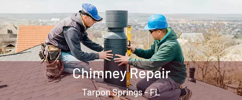  Chimney Repair Tarpon Springs - FL