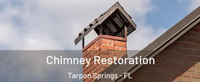  Chimney Restoration Tarpon Springs - FL