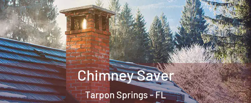  Chimney Saver Tarpon Springs - FL