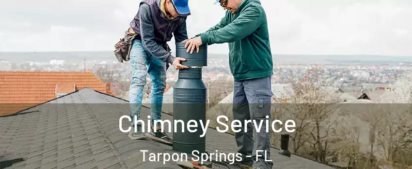  Chimney Service Tarpon Springs - FL