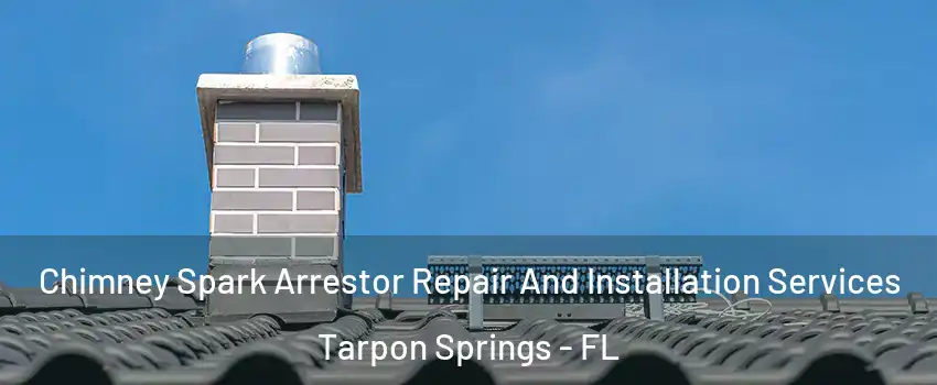  Chimney Spark Arrestor Repair And Installation Services Tarpon Springs - FL