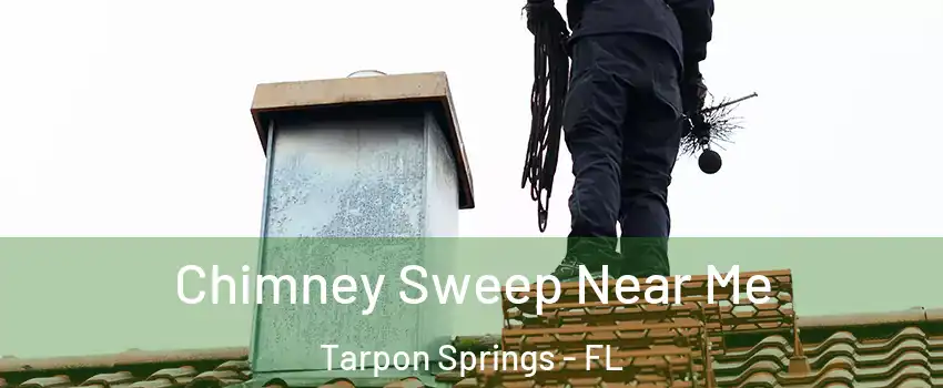  Chimney Sweep Near Me Tarpon Springs - FL
