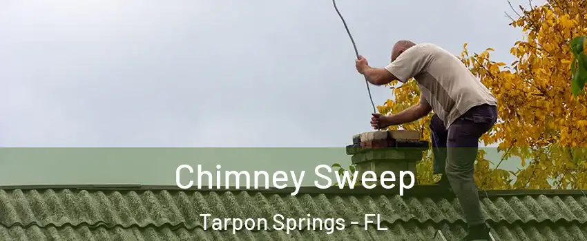  Chimney Sweep Tarpon Springs - FL