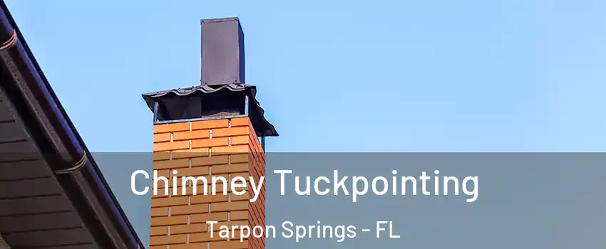  Chimney Tuckpointing Tarpon Springs - FL