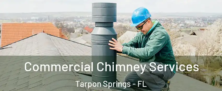  Commercial Chimney Services Tarpon Springs - FL