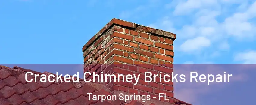  Cracked Chimney Bricks Repair Tarpon Springs - FL
