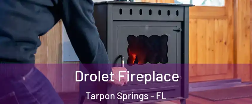  Drolet Fireplace Tarpon Springs - FL