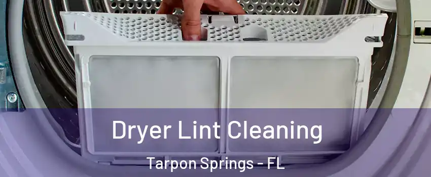  Dryer Lint Cleaning Tarpon Springs - FL