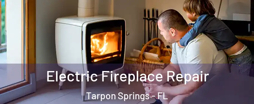  Electric Fireplace Repair Tarpon Springs - FL