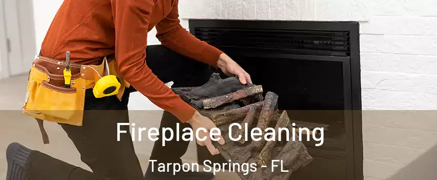  Fireplace Cleaning Tarpon Springs - FL