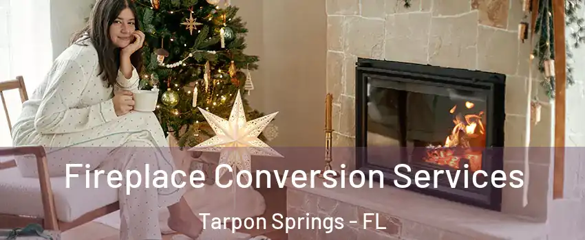  Fireplace Conversion Services Tarpon Springs - FL