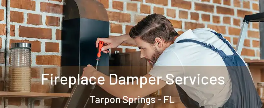  Fireplace Damper Services Tarpon Springs - FL