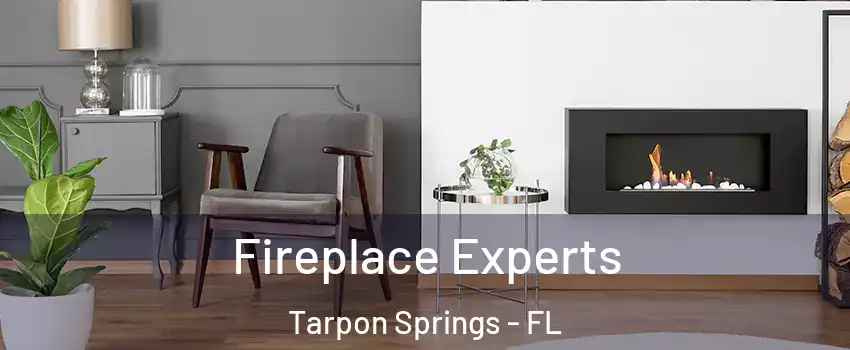  Fireplace Experts Tarpon Springs - FL