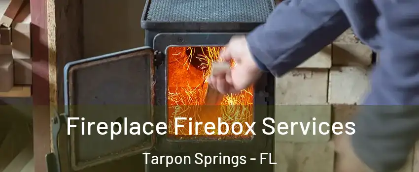  Fireplace Firebox Services Tarpon Springs - FL