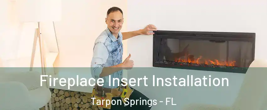  Fireplace Insert Installation Tarpon Springs - FL