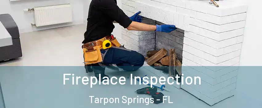  Fireplace Inspection Tarpon Springs - FL