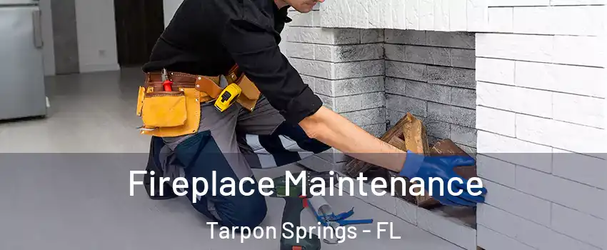  Fireplace Maintenance Tarpon Springs - FL
