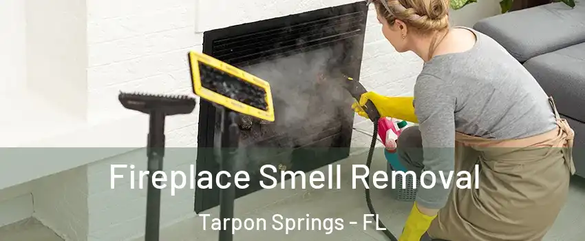  Fireplace Smell Removal Tarpon Springs - FL