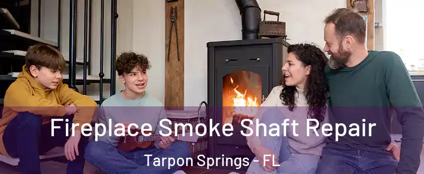  Fireplace Smoke Shaft Repair Tarpon Springs - FL