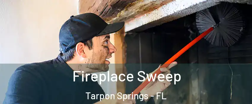  Fireplace Sweep Tarpon Springs - FL