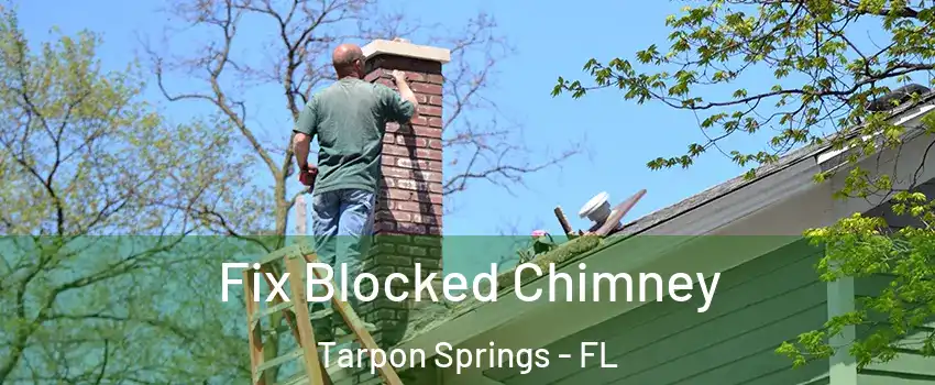  Fix Blocked Chimney Tarpon Springs - FL