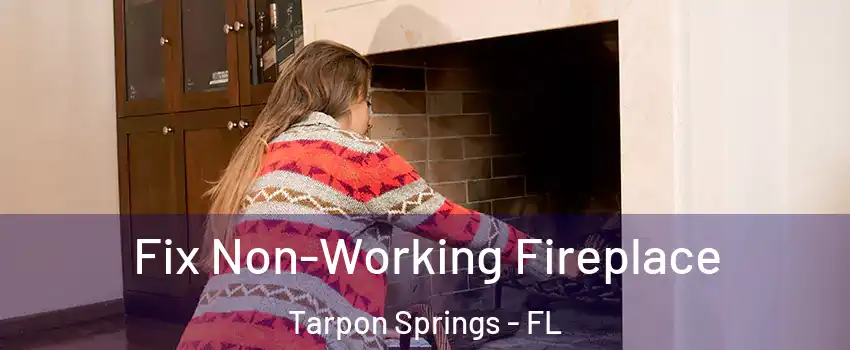  Fix Non-Working Fireplace Tarpon Springs - FL