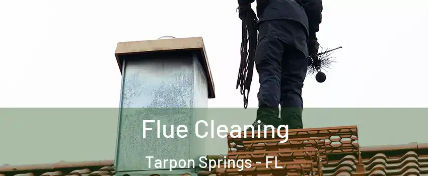  Flue Cleaning Tarpon Springs - FL