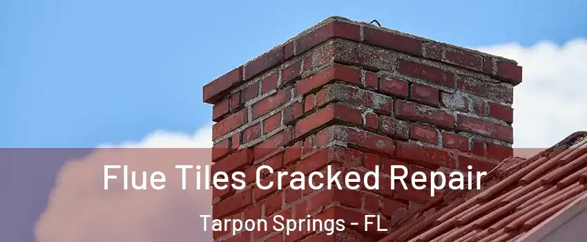  Flue Tiles Cracked Repair Tarpon Springs - FL