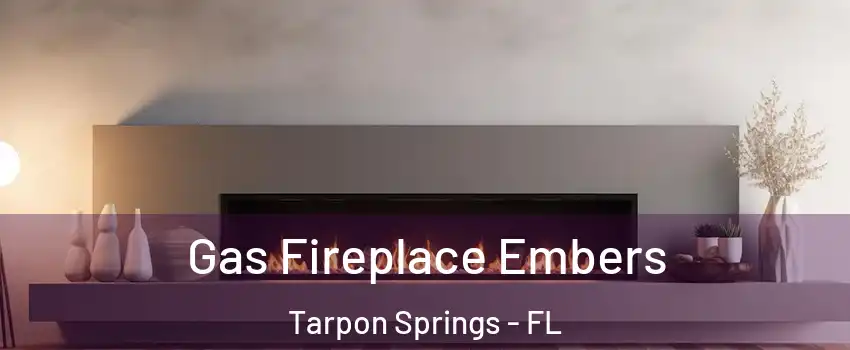  Gas Fireplace Embers Tarpon Springs - FL