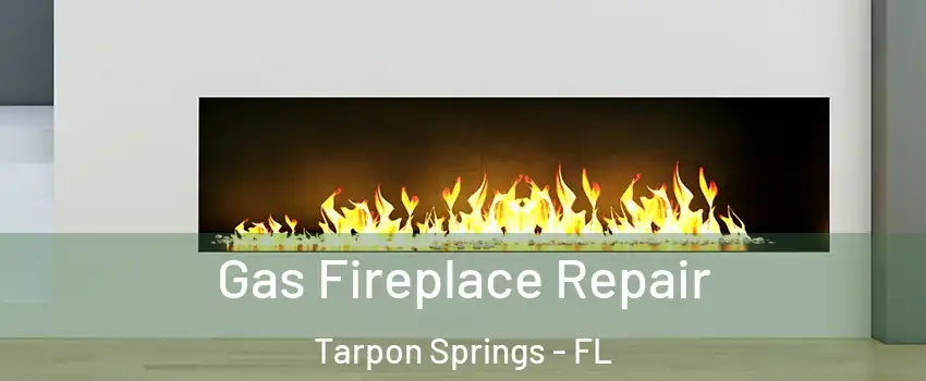  Gas Fireplace Repair Tarpon Springs - FL