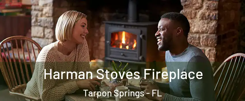  Harman Stoves Fireplace Tarpon Springs - FL