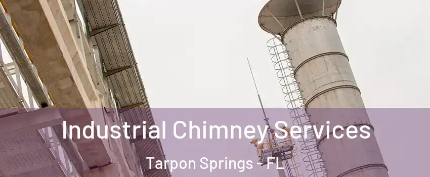  Industrial Chimney Services Tarpon Springs - FL